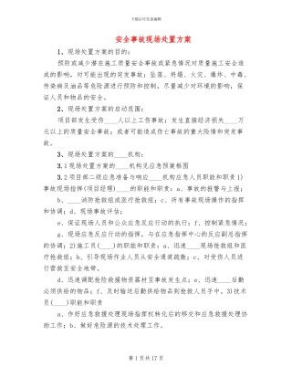 安全事故现场处置方案