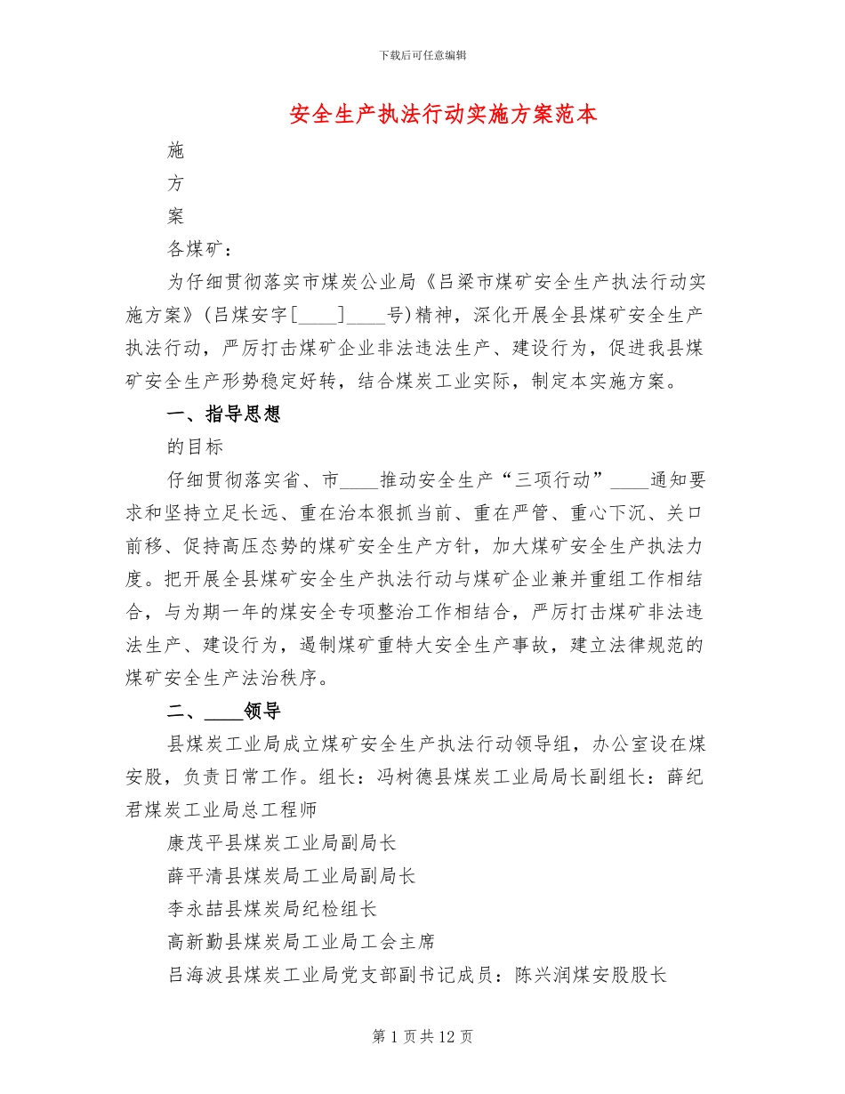 安全生产执法行动实施方案范本_第1页