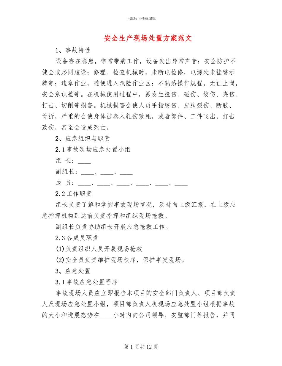 安全生产现场处置方案范文_第1页