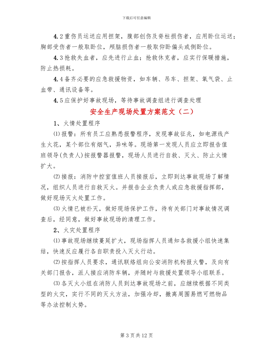 安全生产现场处置方案范文_第3页