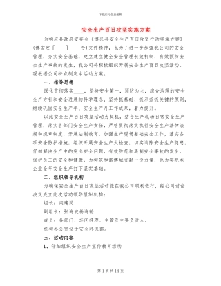 安全生产百日攻坚实施方案