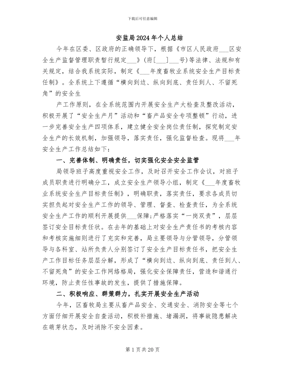 安监局2024年个人总结_第1页