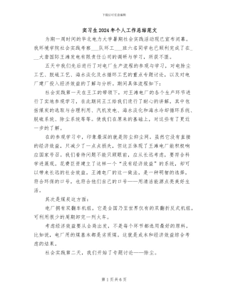 实习生2024年个人工作总结范文