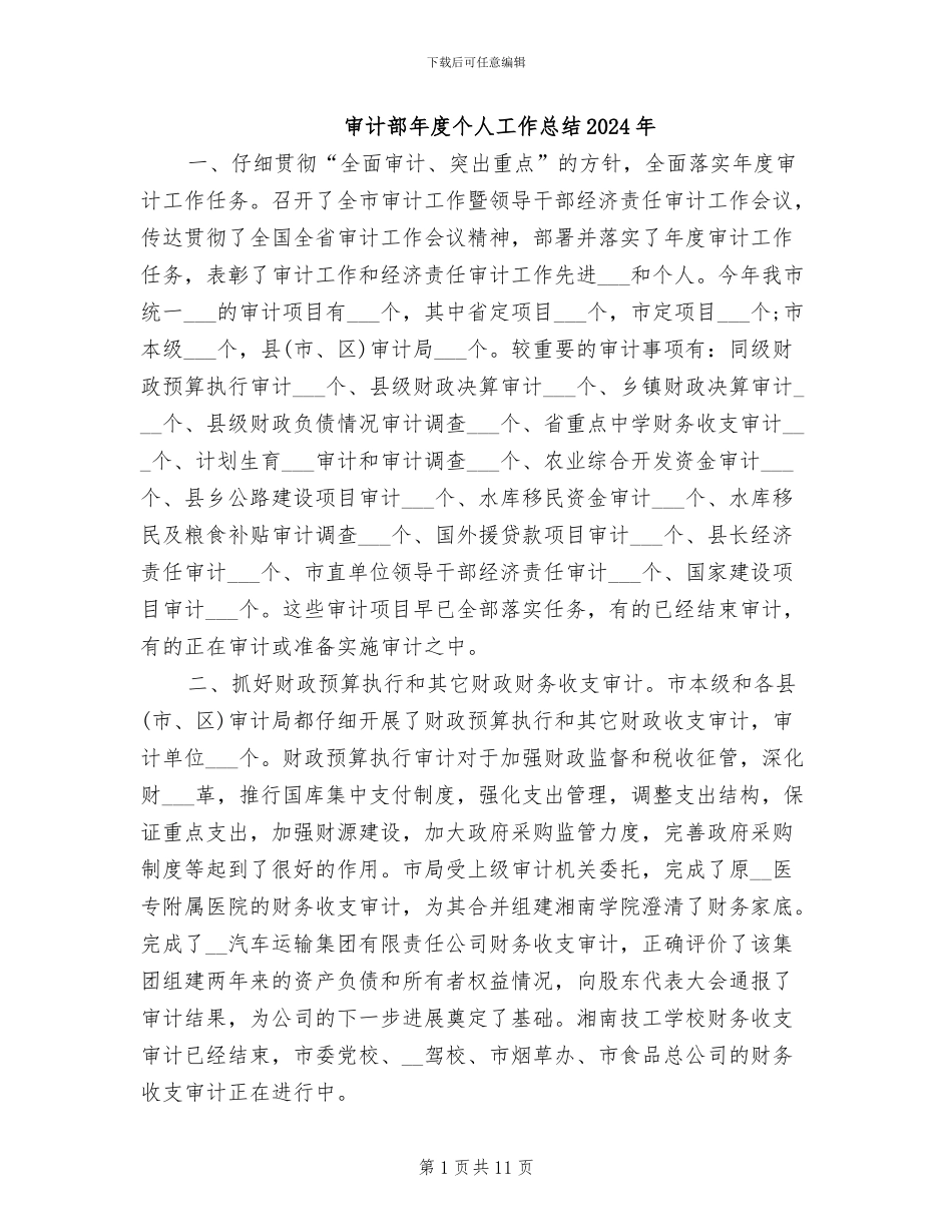 审计部年度个人工作总结2024年_第1页