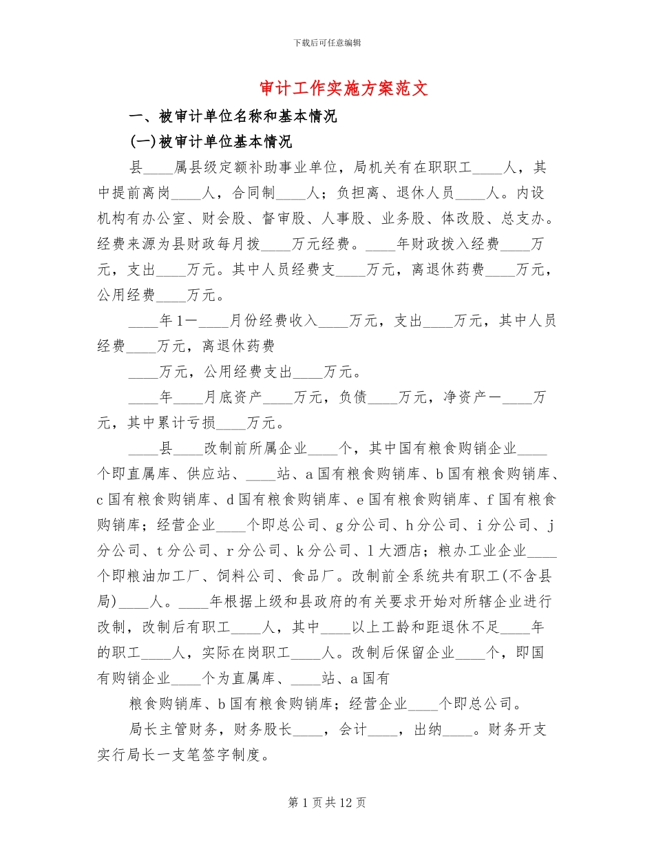 审计工作实施方案范文_第1页