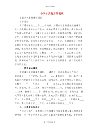 小农水实施方案模板
