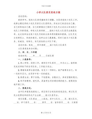 小学大队委员竞选方案