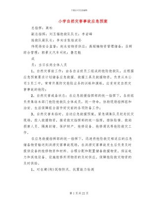 小学自然灾害事故应急预案
