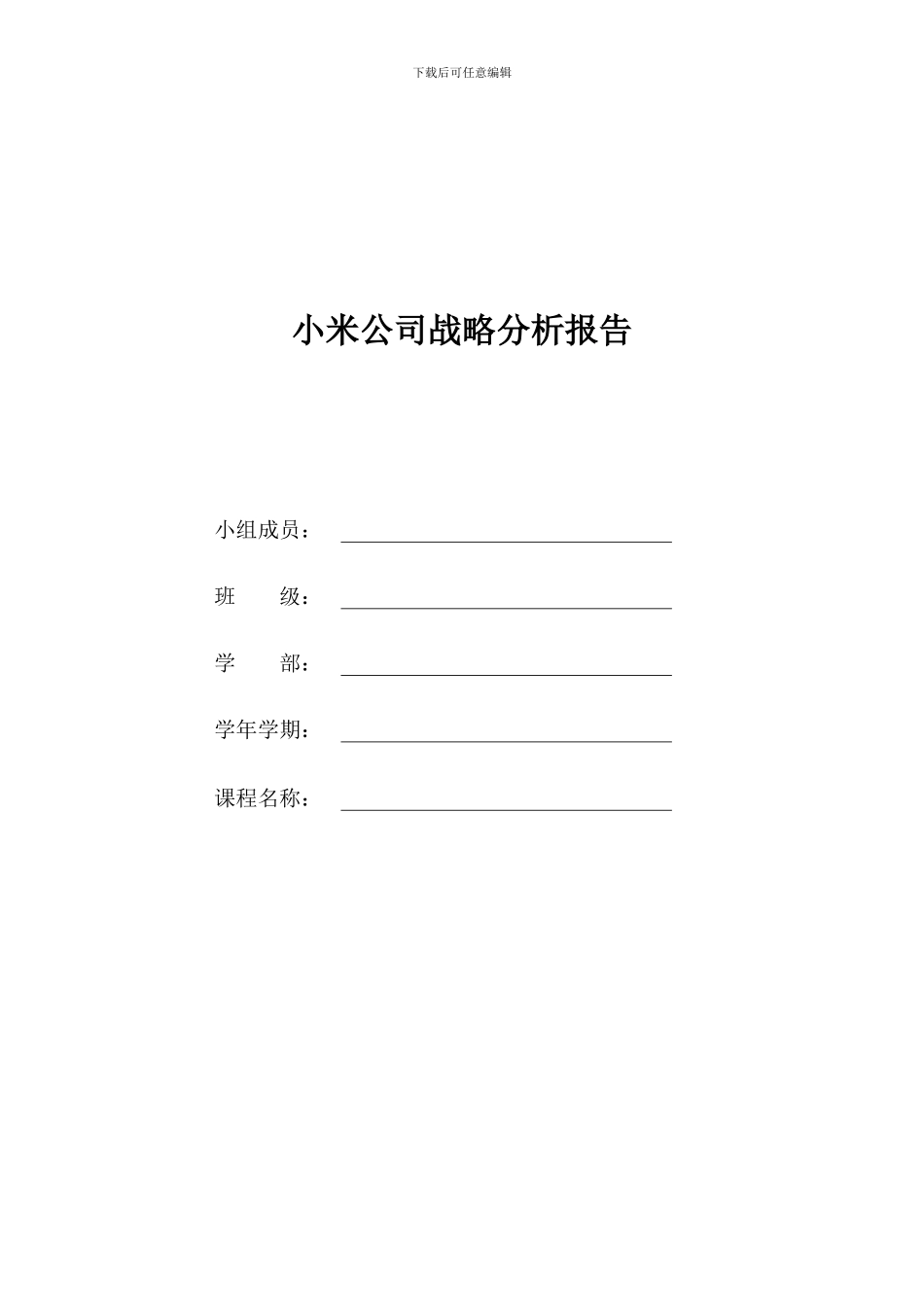 小米公司战略分析报告DOC_第1页