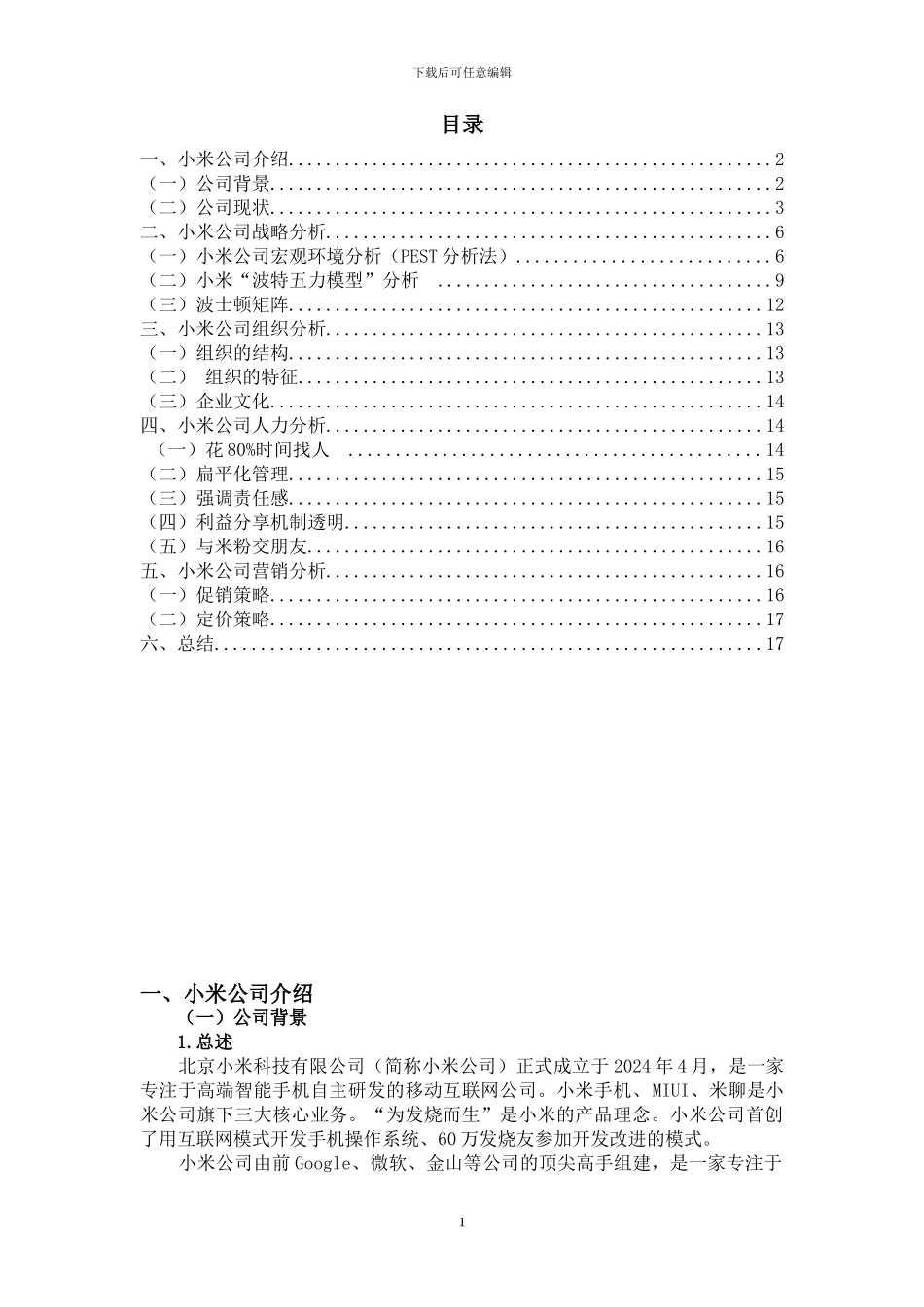 小米公司战略分析报告DOC_第2页