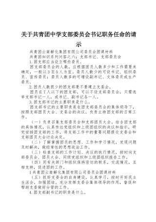 关于共青团中学支部委员会书记职务任命的请示