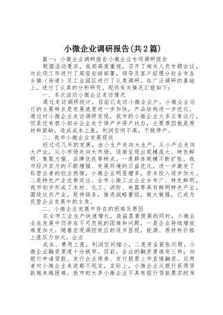 小微企业调研报告(共2篇)