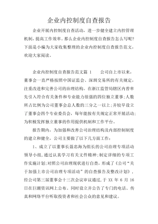 企业内控制度自查报告