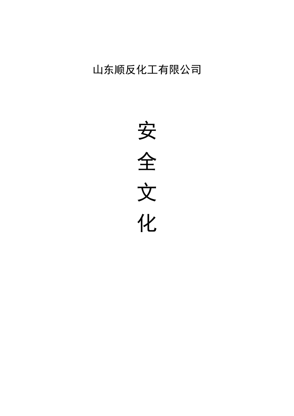 企业安全文化体系_第1页