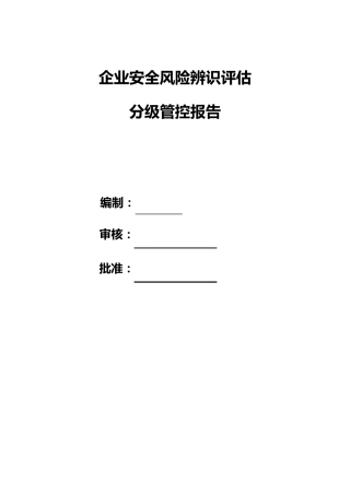 企业安全风险评估报告
