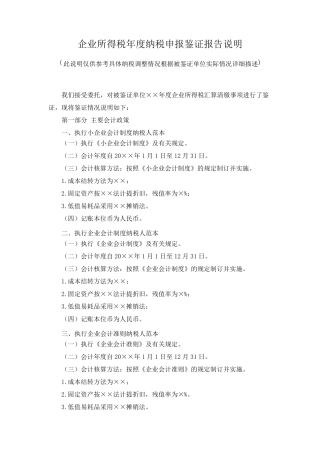 企业所得税年度纳税申报鉴证报告说明