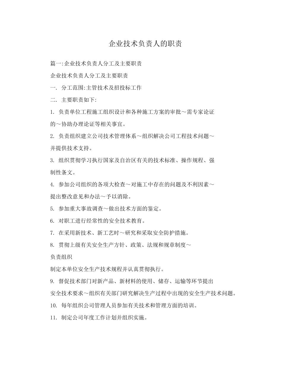 企业技术负责人的职责_第1页