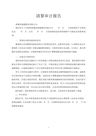 企业清算审计报告1