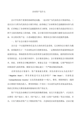 企业资产是什么