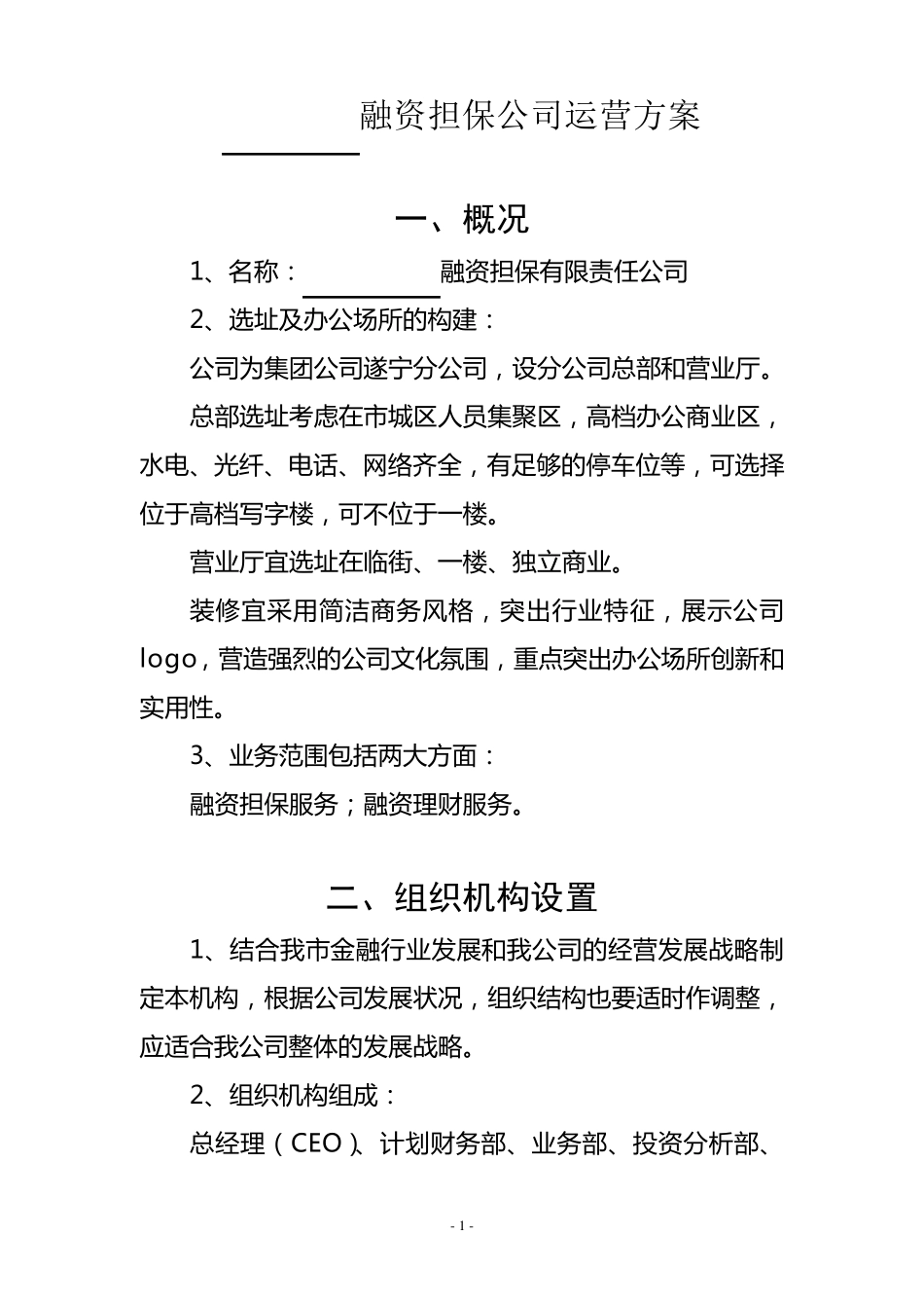 企业运营方案_第1页