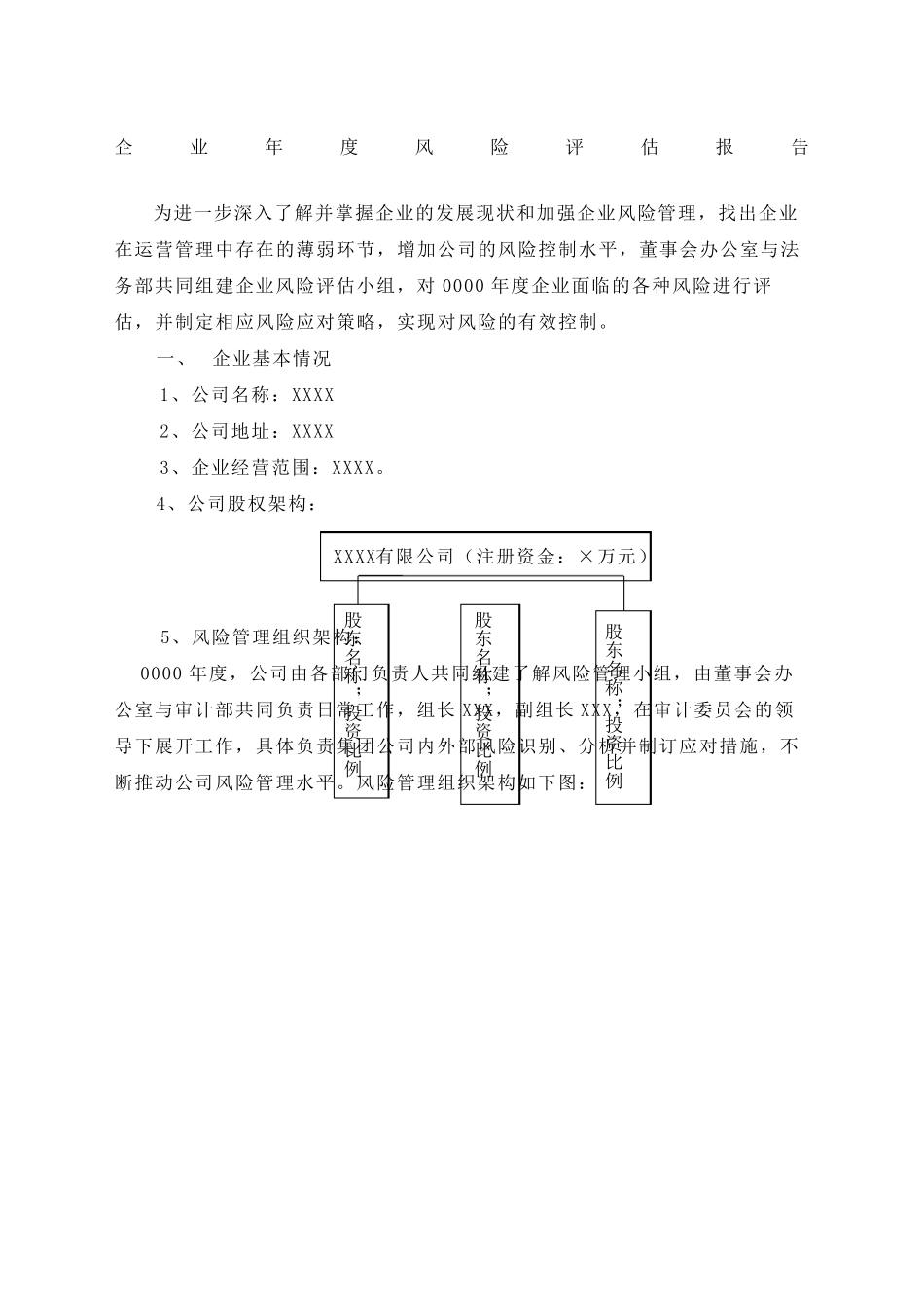 企业风险评估报告_第2页