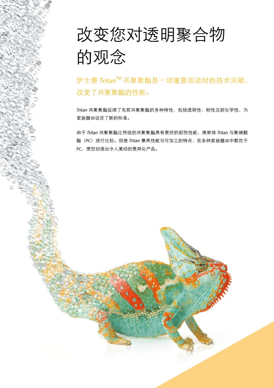 伊士曼tritan家居器皿_第2页