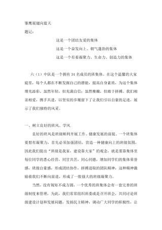 优秀中队申报材料