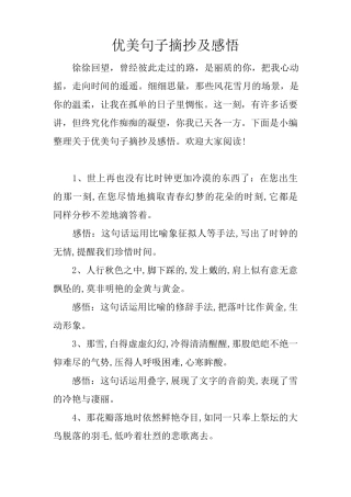 优美句子摘抄及感悟