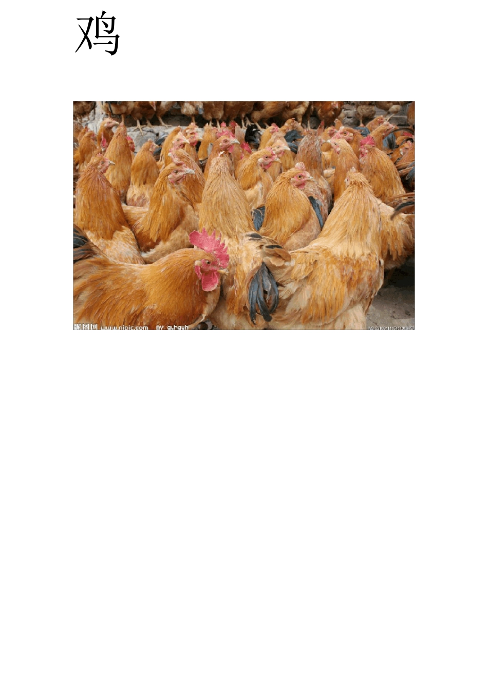 会生蛋的动物1_第3页