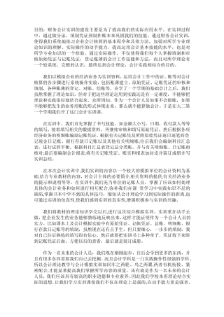 会计实训报告