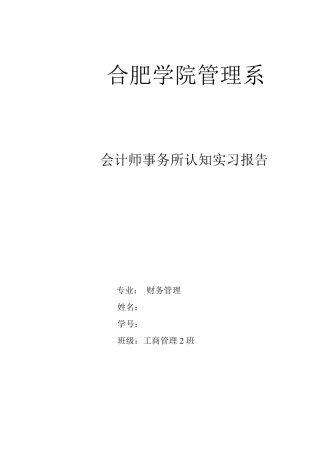 会计师事务所实习报告