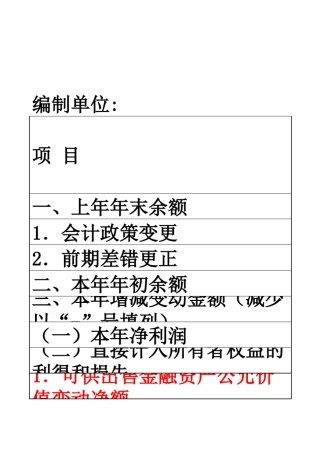 会计报表格式新会计报表模板