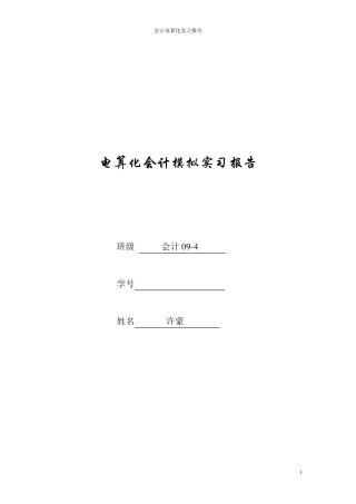 会计电算化实习报告