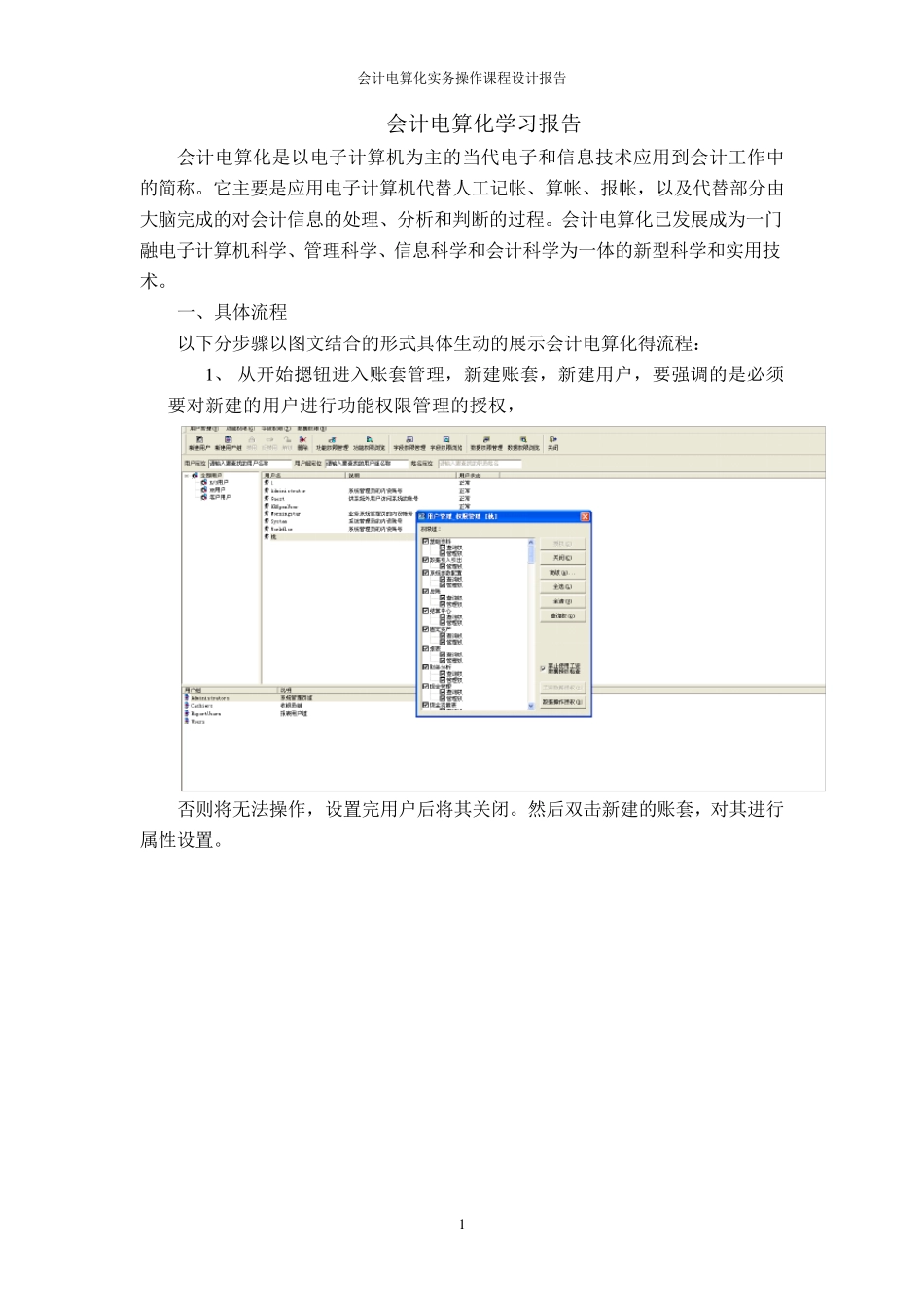 会计电算化课程设计报告_第1页