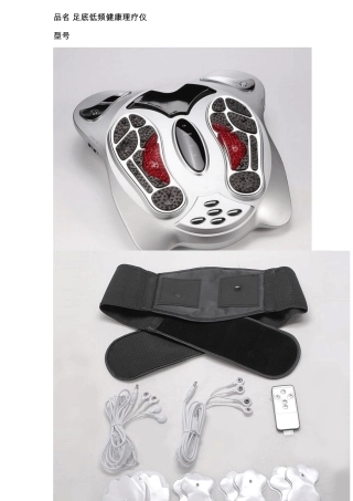 低频健康理疗仪BK501说明书