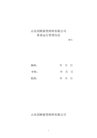 体系运行管理办法