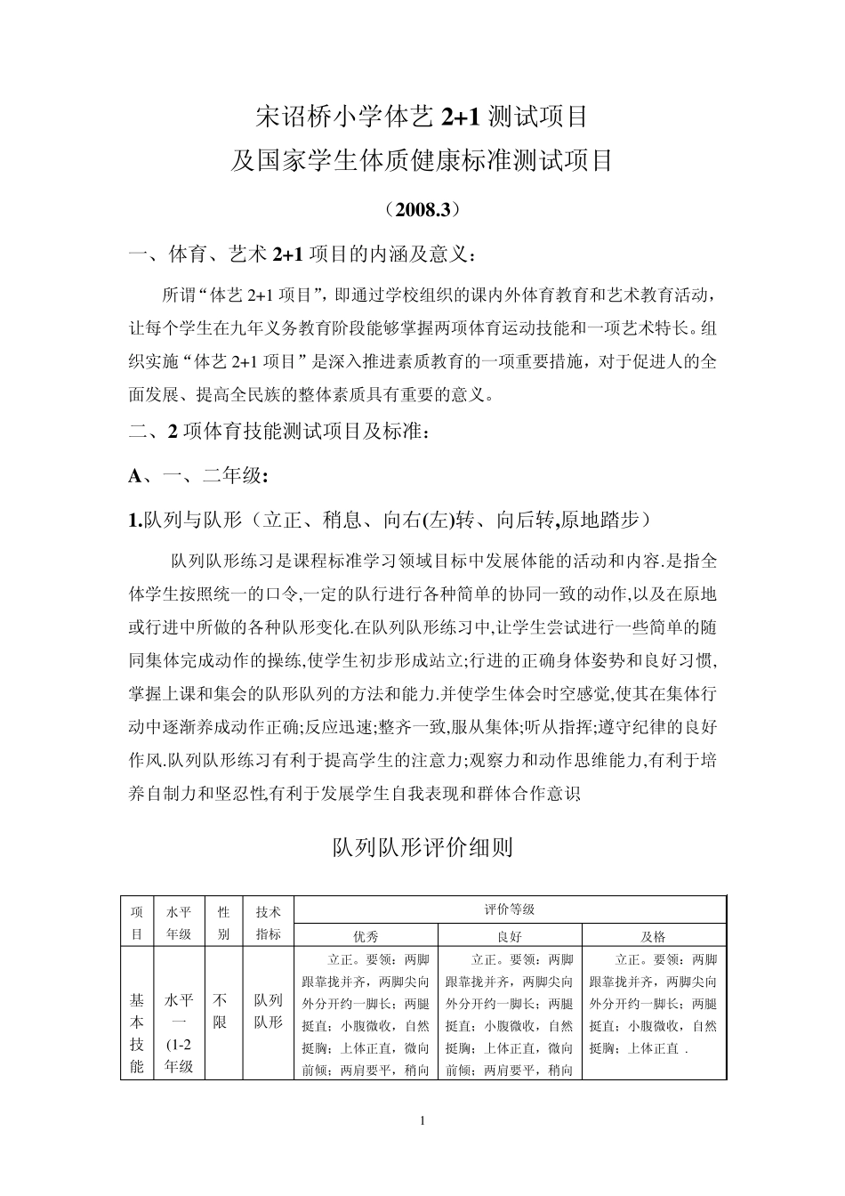 体育与艺术2+1测试标准_第1页