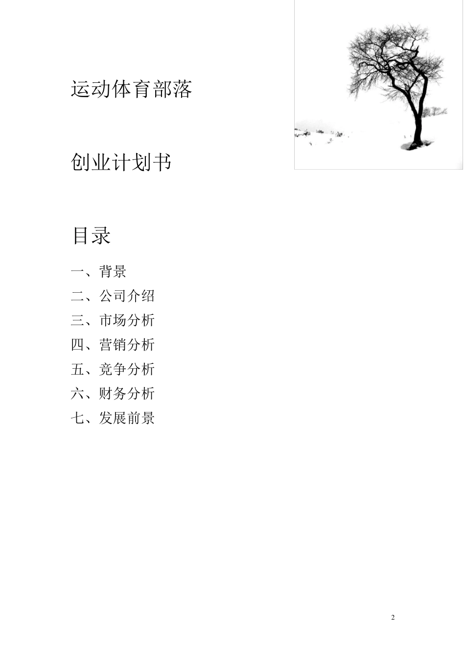 体育商品店创业计划书_第2页