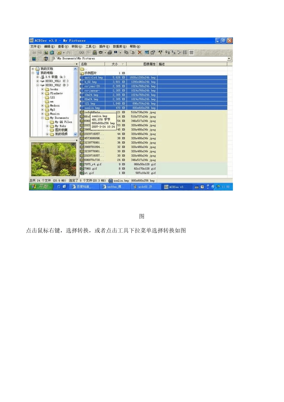 使用ACDSee转换图片格式和调整图片大小_第3页