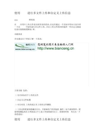 使用FLEX进行多文件上传和自定义上传信息