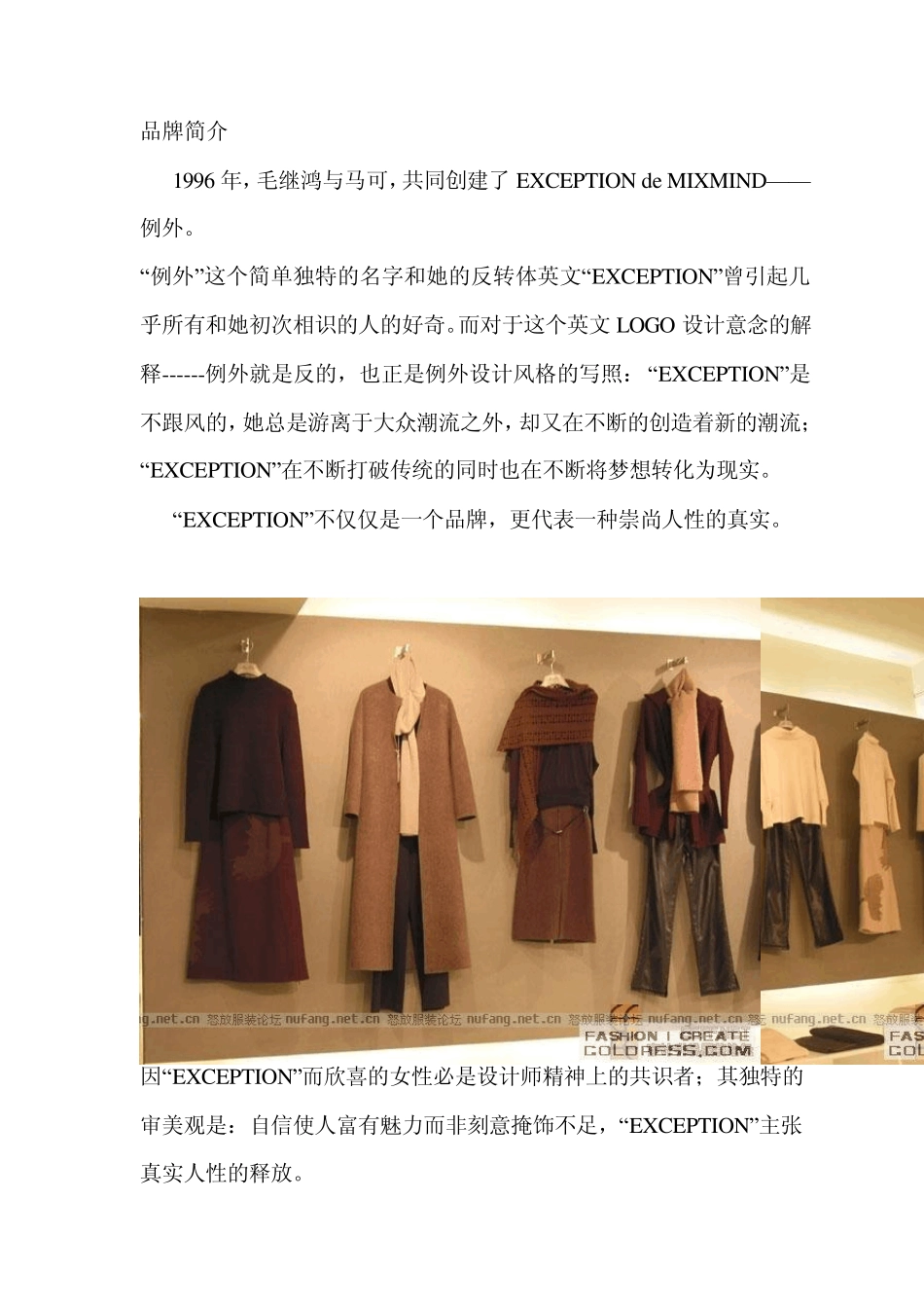 例外市场调查报告_第1页