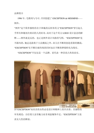 例外市场调查报告