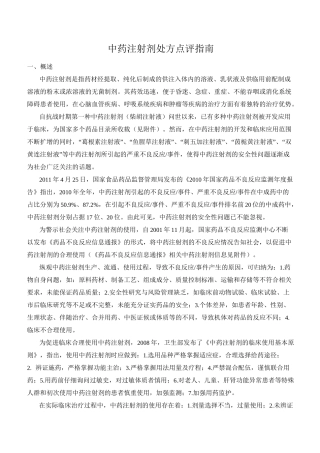 中药注射剂处方点评指南