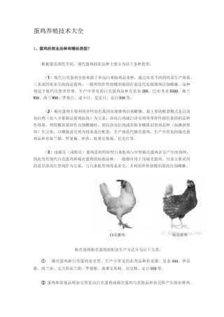 蛋鸡养殖技术大全