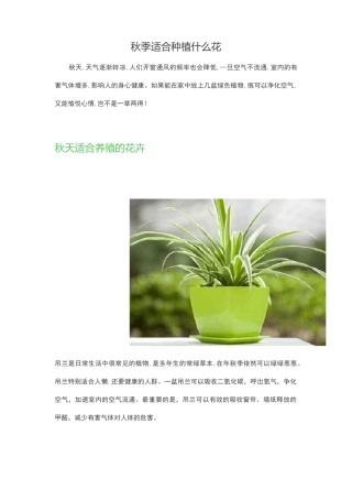 秋季适合种植什么花