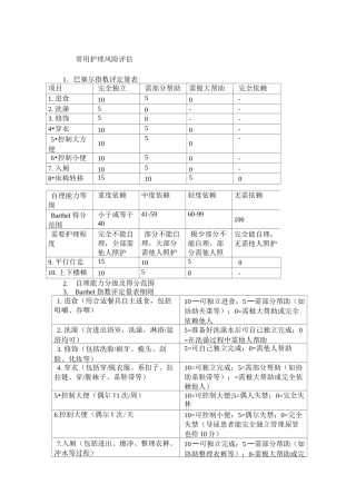 常用护理风险评估量表