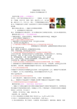 《细胞的增殖》导学案