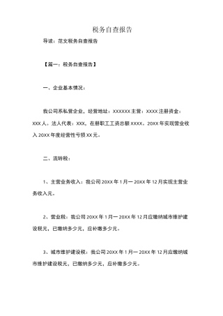 税务自查报告