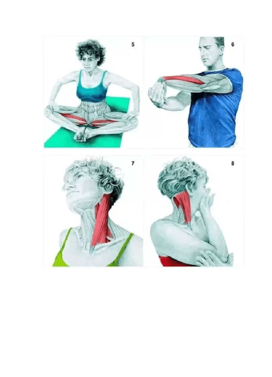 34个简单实用的身体拉伸图_第2页