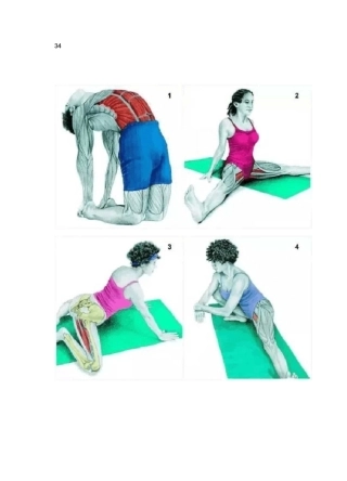 34个简单实用的身体拉伸图